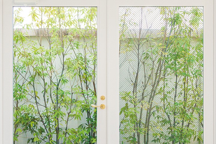 photo of comparison of the visibility of landscapes between reticulated glass and FireLite