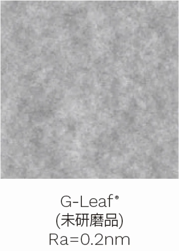 G-Leaf表面AFM測定データ