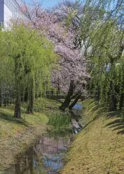 能登川事業場を流れる黙々川