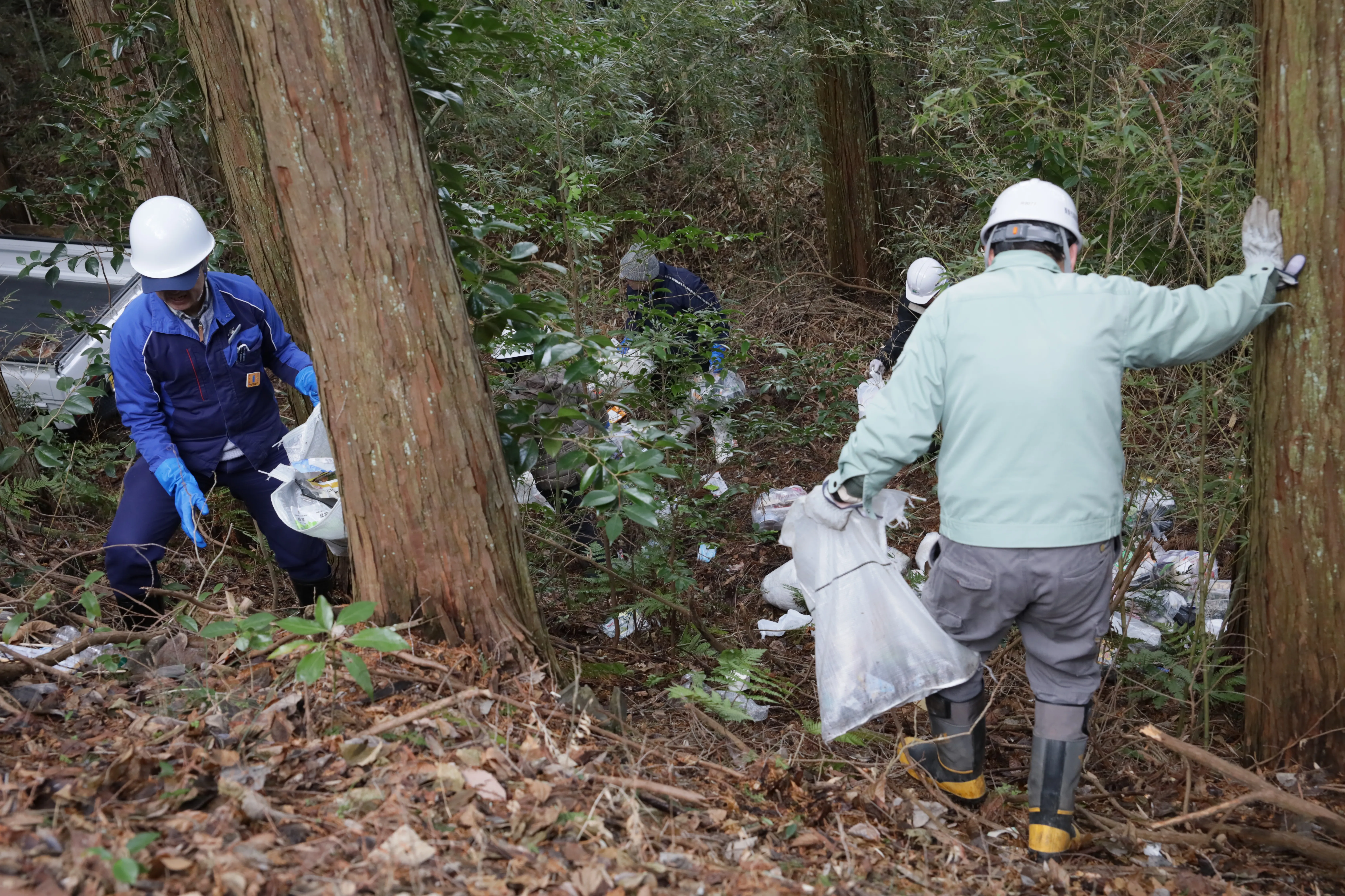 林道クリーン作戦に参加する日本電気硝子の社員