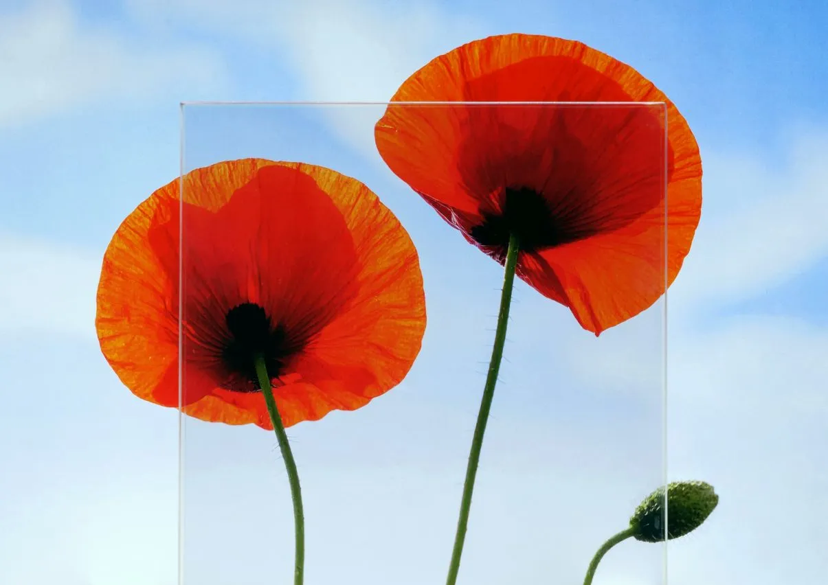 新製品ファイアライトＦ エアリティ