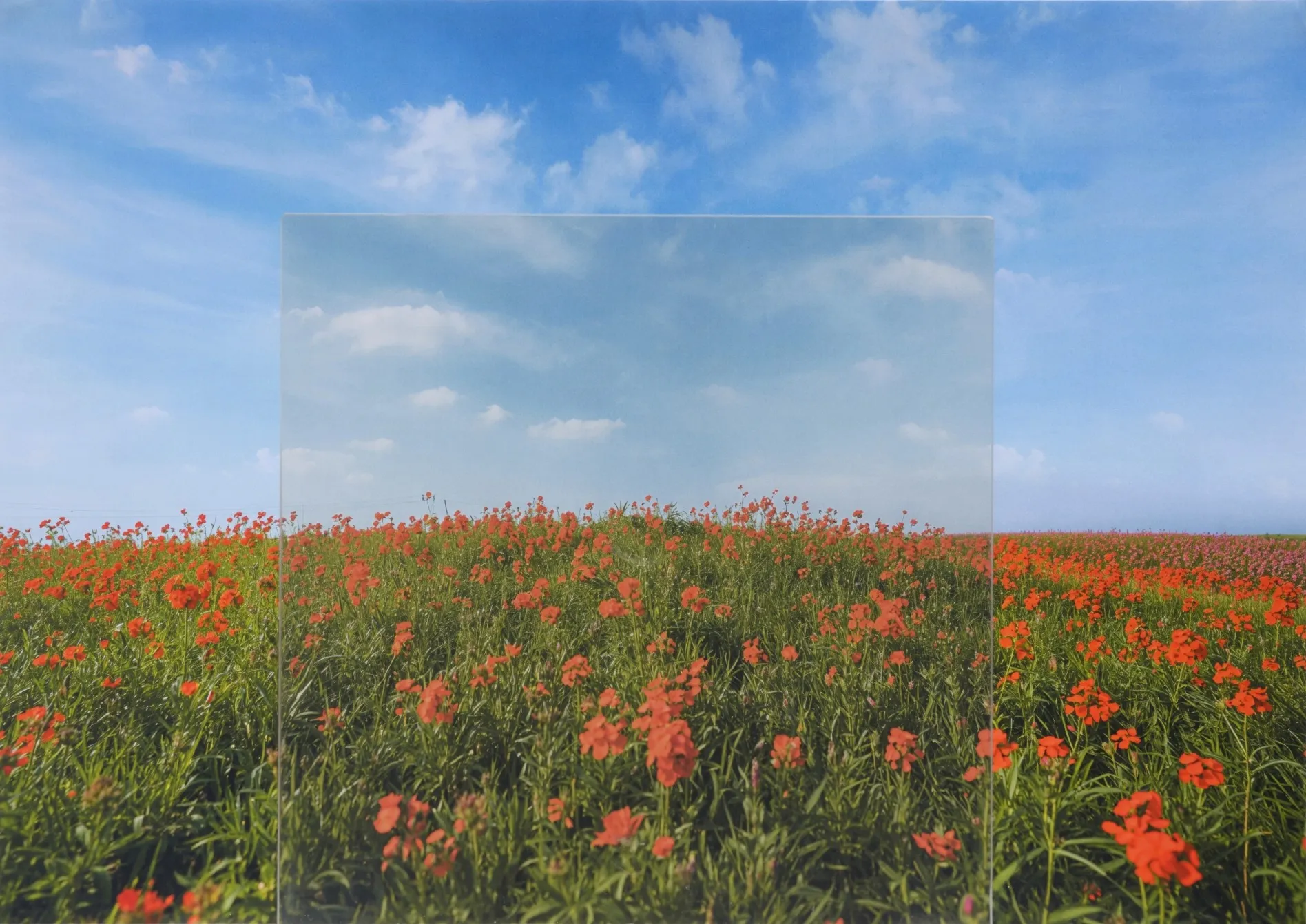 ファイアライト （フィルムなし）