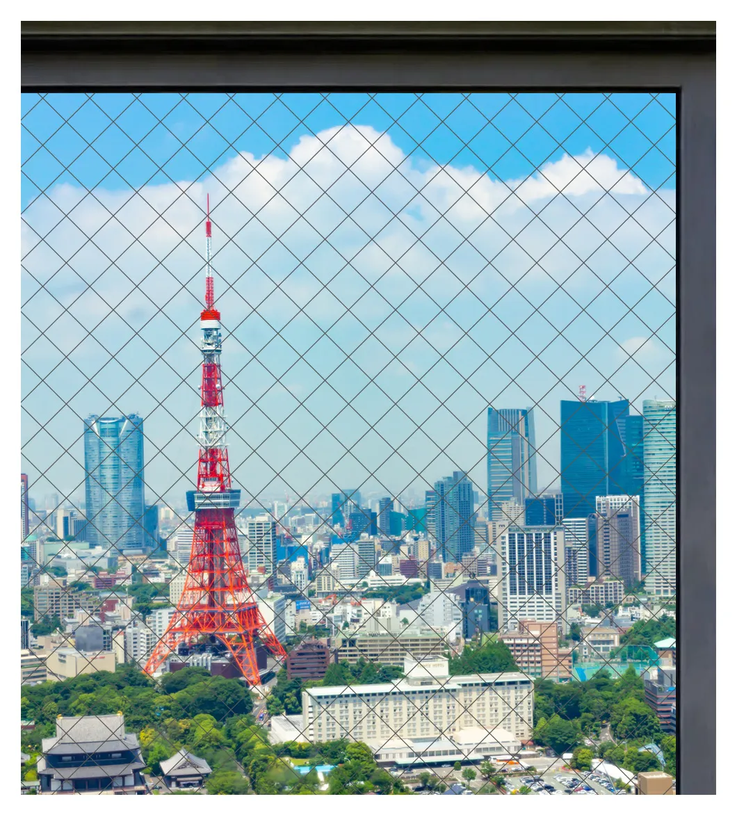 網入りガラス越しの風景