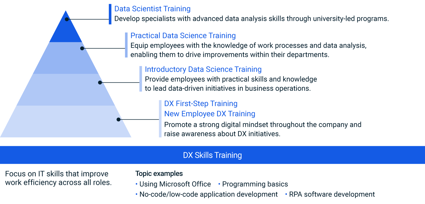 figure of DX Skills Training