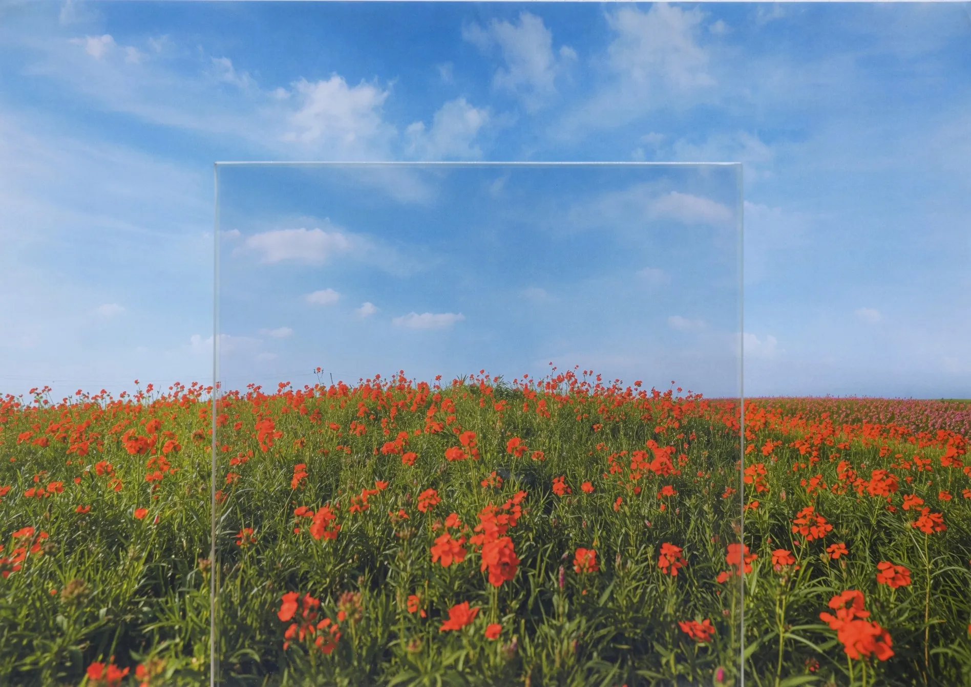 FireLite F Airity (with posica kukkiri film)