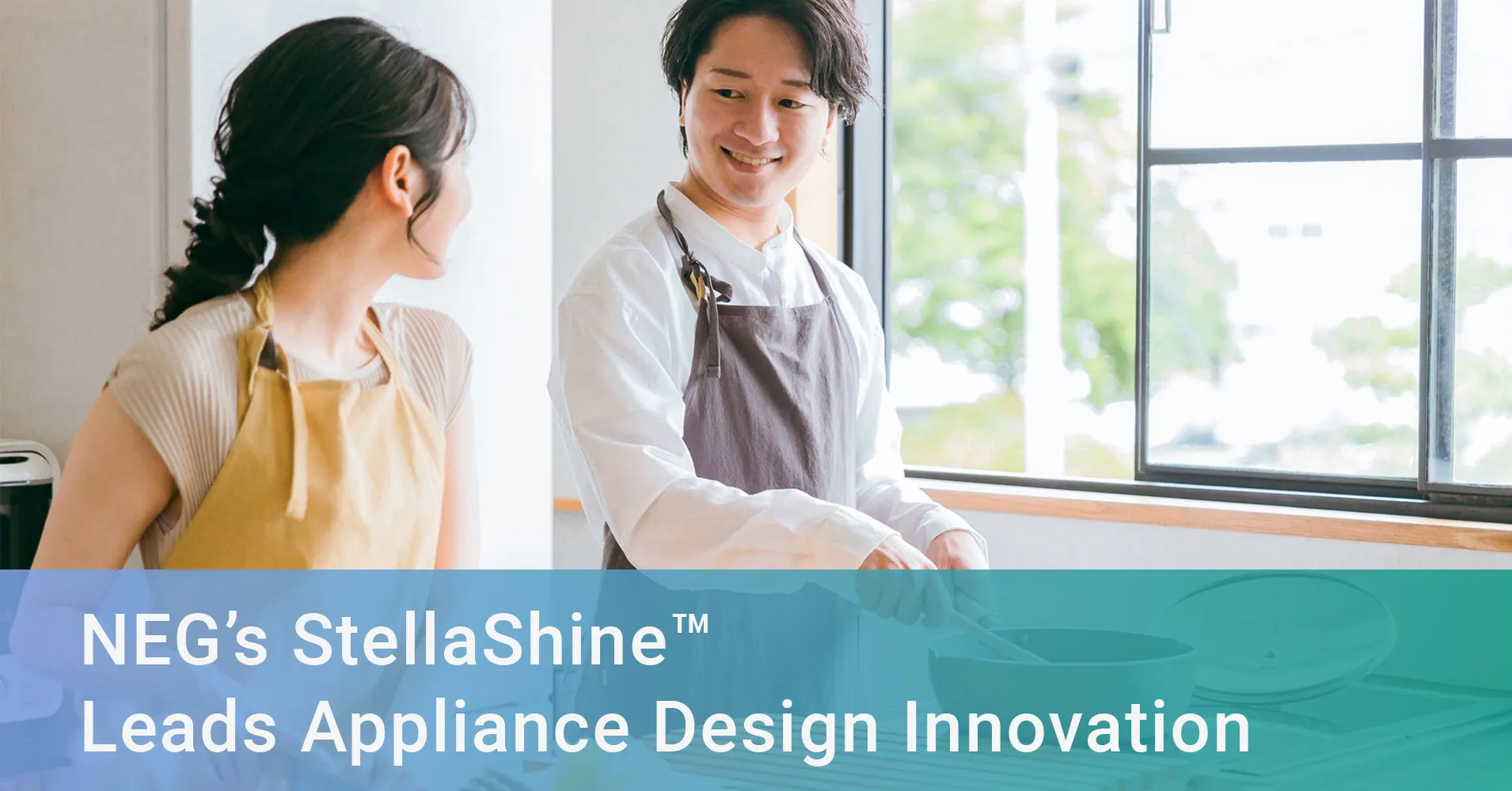 NEG’s StellaShine™ Leads Appliance Design Innovation