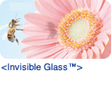 <Invisible Glass™>