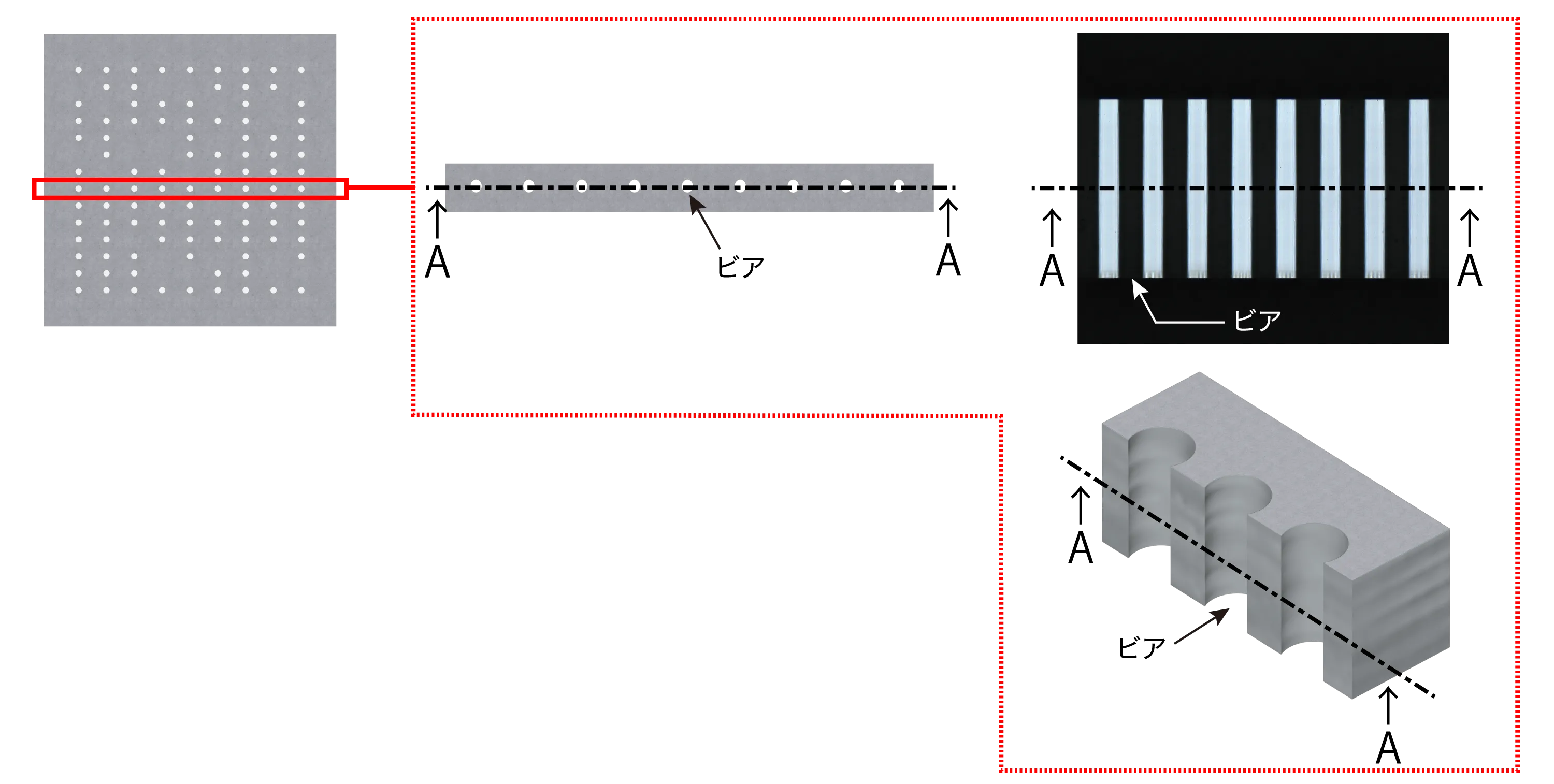 高い平滑性が分かるビア断面
