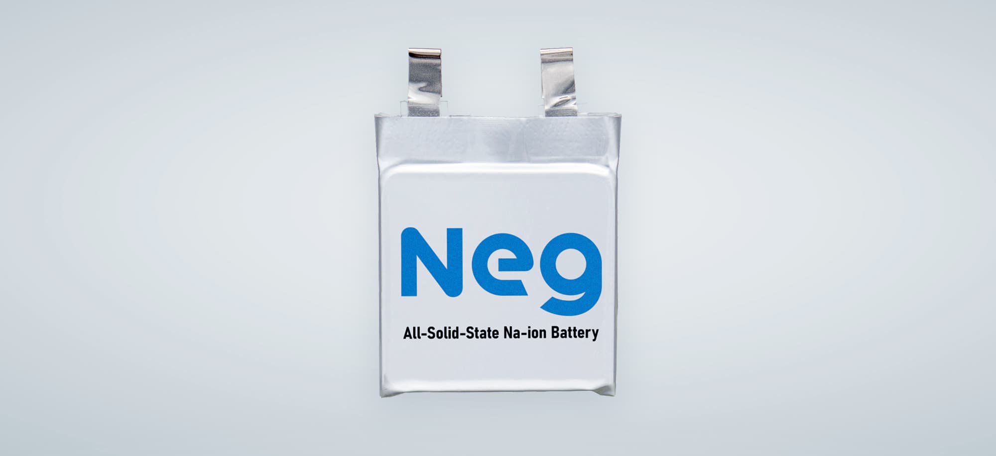 Neg All-Solid-State Na-ion Battery
