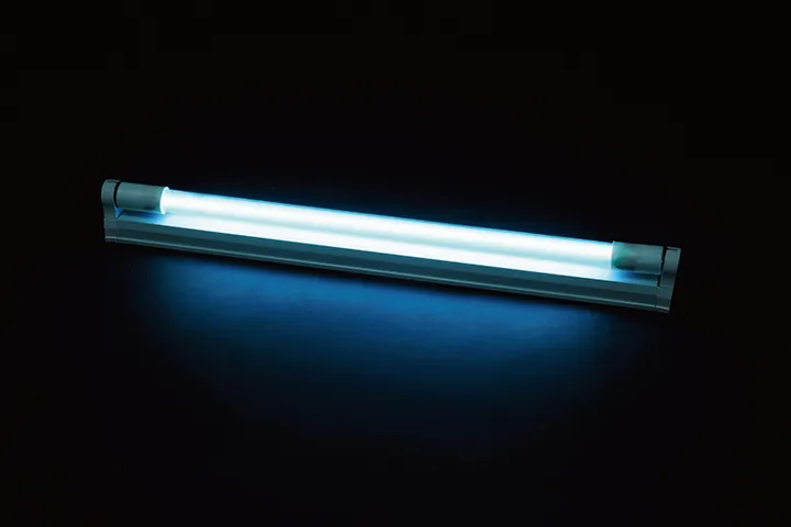 使用示例